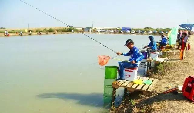 高品质鱼竿，钓黑坑必备神器，探索其魅力与优势